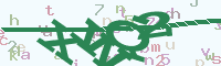 reload image