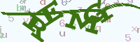 reload image