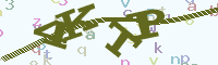 reload image
