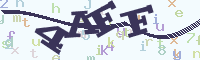 reload image