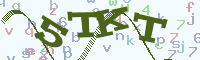 reload image