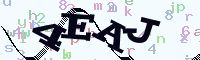 reload image