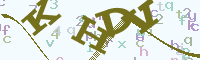 reload image