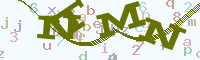 reload image