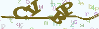 reload image