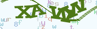 reload image