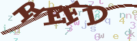 reload image