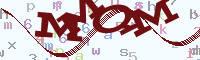 reload image
