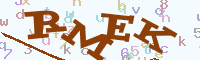 reload image