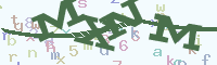 reload image
