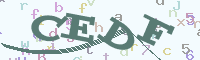 reload image