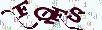 reload image