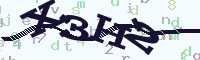 reload image