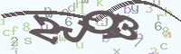 reload image