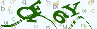 reload image