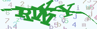 reload image